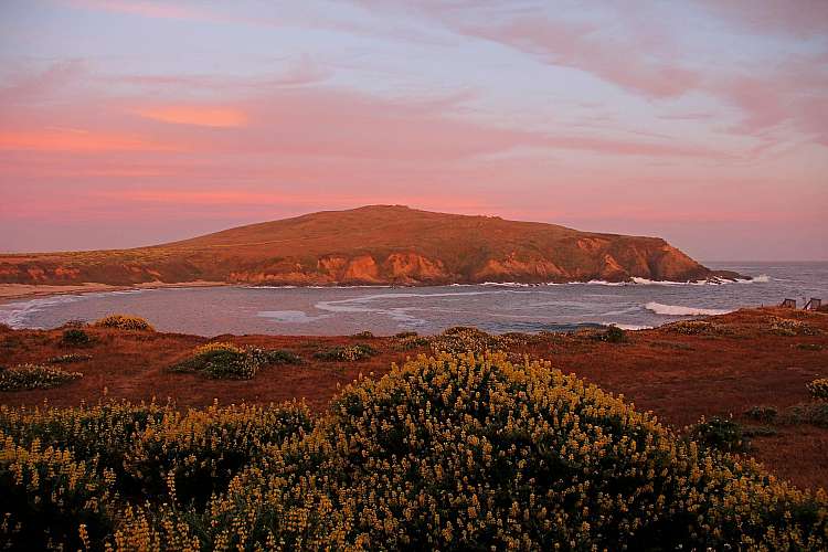 bodega bay
